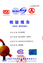 红河电力变压器检测报告